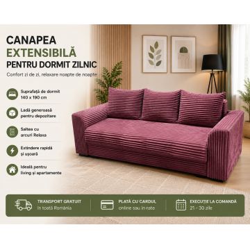 Canapea Extensibila pentru Dormit Zilnic cu Lada de Depozitare