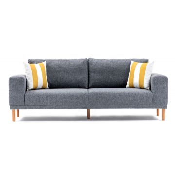 Canapea fixă Franz, Diverse culori, Diverse configurații, Diverse dimensiuni - Gri / 3 locuri / 220x82x87 cm